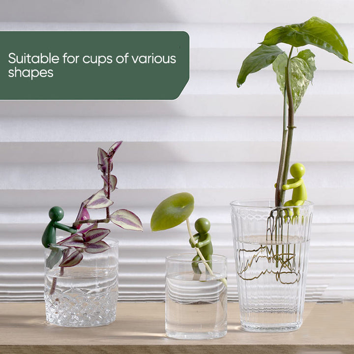 Various plant cuttings in propagation stations using Garden Plant Propagation Buddies for support