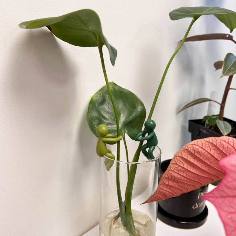 Multiple small indoor plants benefiting from stem support provided by Propagation Buddies clips