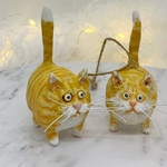 Orange Tabby