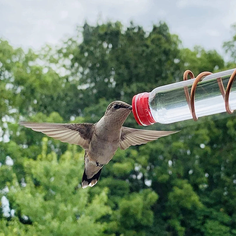 Hummingbird feeder, clear view, suction cups attaching to window for easy bird watching