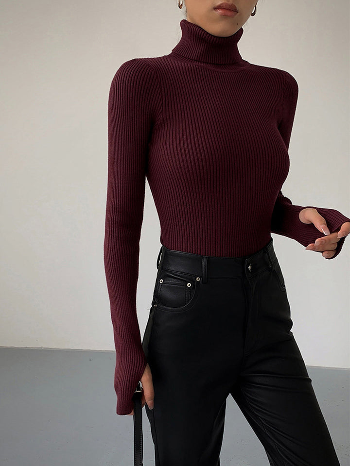 Stylish women's knit turtleneck in a soft blue, suitable for spring layering and cool evenings.